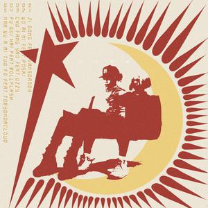 毛聳聳的陰戶特寫
