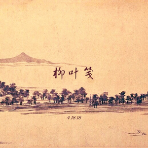 毛聳聳的陰戶特寫
